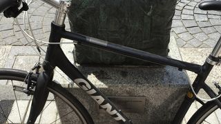 鳥のくちばしが括られてます