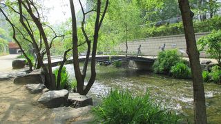 清渓川は都会のオアシス