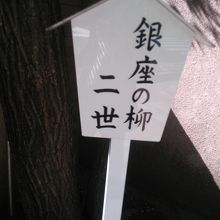 歴史を感じさせる柳です