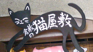 可愛いネコちゃんでいっぱいです