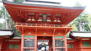 楼門の木製狛犬が素晴らしい