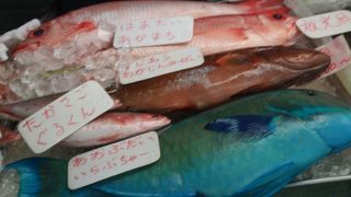 活気があり楽しい場所です