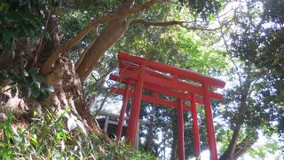 叢木に隠れるようにあるお稲荷さん