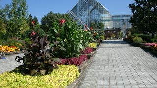 福知山市都市緑化植物園(スモールテラ)