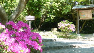 坂道です、ファィト！