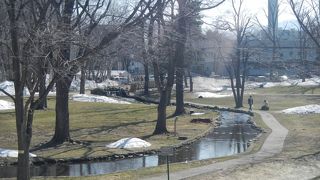 北大構内を流れる川