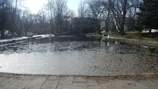 かつての湿地帯を整備してできた池