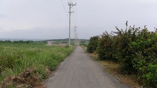 小浜島☆素朴でのどかで素敵な一本道