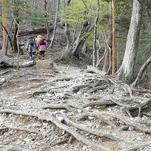 最初稜線に出るまでは結構な急坂