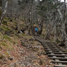 木道が整備されています