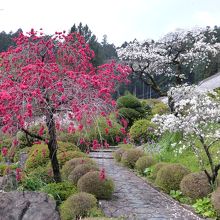 霊山院