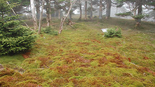 日本百名山　大峰山 古い歴史ある山