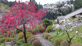 霊山院