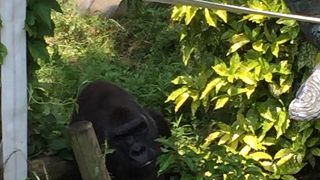 休日に行くなら周辺の駐車場を調べておいた方が良い。