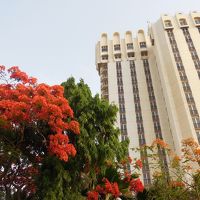 プールサイドからのホテルの建物です。