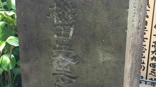 見学自由でした