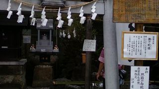 さまざまな見所多いです。