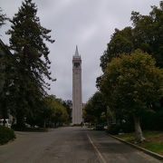 バークレーの街並みが一望できる大学内にあるタワー