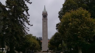 バークレーの街並みが一望できる大学内にあるタワー