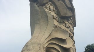 大きい！！！！！