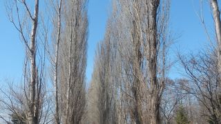 少しずつ復活しつつあるようだ