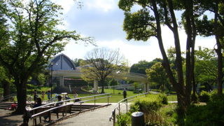 四季折々で楽しむことができる公園