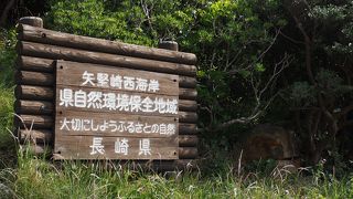 たくさんの島を見晴らせます