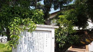 とっても固い木だそうです