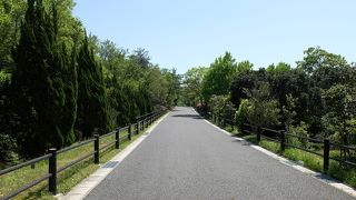 リニモに乗って行きました。