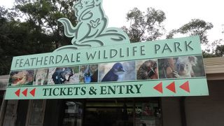 オーストラリア固有の動物たちと触れ合うならここ