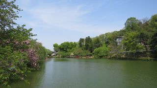 半日時間をつぶすにはちょうど良い総合公園。