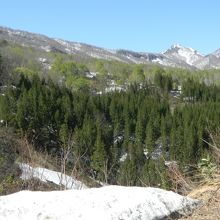 バスを降りて入り口まで歩く途中の景色。