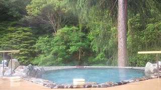 森と川と露天風呂（たぶん星空も綺麗なはず！）