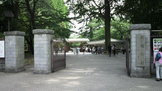 新宿駅から徒歩約１０分弱の場所にある広大な庭園と緑豊かな樹木に囲まれた新宿御苑