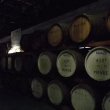 樽が並んでいるところ