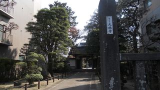 桜の時期に寺院めぐり