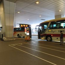 各社のバスが止まっています