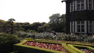 バラで有名な都内の庭園