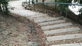 もみじ谷の坂か