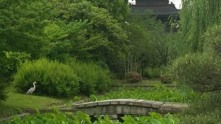 日本のお寺も立派です。