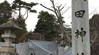 武田氏館跡に立つ