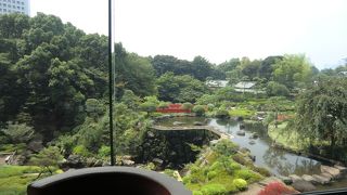 ブッフェがおすすめ