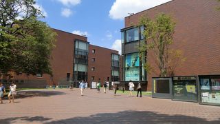 案外大きいです。