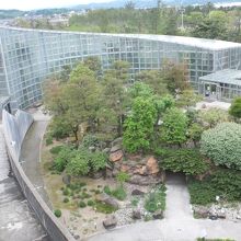 氷見市海浜植物園