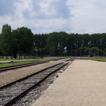 ガス室につながる列車の引込線