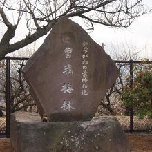 曽我梅林の碑