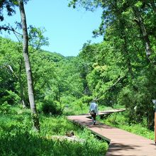 緩やかな木の階段を降り、全長1，6Km,60分弱の道のりを進