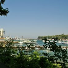 森を過ぎると小網代湾の美しい風景が見えてきます