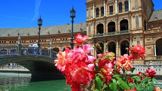 美しい公園です