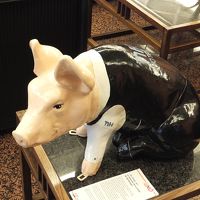 ブタさんがお出迎え♪